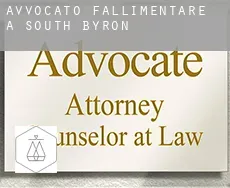 Avvocato fallimentare a  South Byron