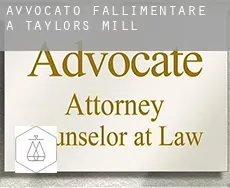 Avvocato fallimentare a  Taylors Mill