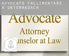 Avvocato fallimentare a Unterradach