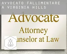 Avvocato fallimentare a Virginia Hills