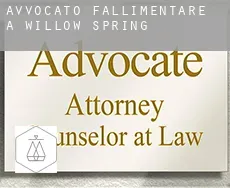 Avvocato fallimentare a  Willow Spring