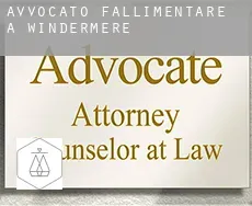 Avvocato fallimentare a  Windermere