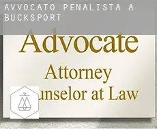 Avvocato penalista a  Bucksport