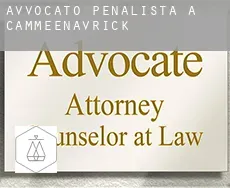 Avvocato penalista a  Cammeenavrick