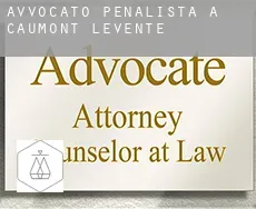 Avvocato penalista a Caumont-l'Éventé