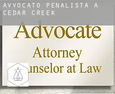 Avvocato penalista a  Cedar Creek