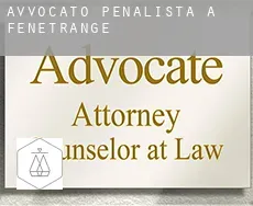 Avvocato penalista a  Fénétrange