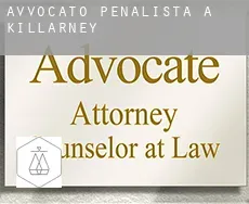 Avvocato penalista a Killarney