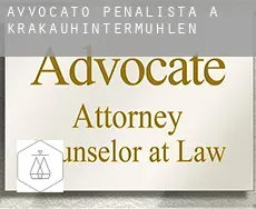 Avvocato penalista a Krakauhintermühlen