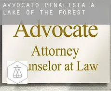 Avvocato penalista a  Lake of the Forest