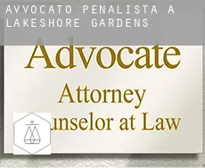 Avvocato penalista a  Lakeshore Gardens