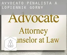 Avvocato penalista a Łopiennik Górny