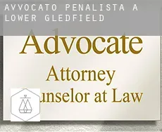 Avvocato penalista a  Lower Gledfield