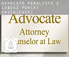 Avvocato penalista a Powiat krośnieński (Lubusz)