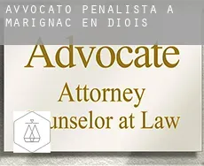 Avvocato penalista a Marignac-en-Diois