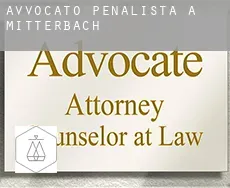 Avvocato penalista a  Mitterbach