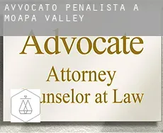 Avvocato penalista a  Moapa Valley