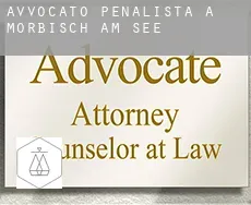 Avvocato penalista a Mörbisch am See