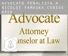 Avvocato penalista a  Nicolet-Yamaska (census area)