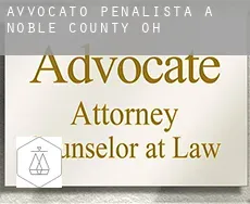 Avvocato penalista a  Noble County