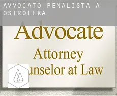 Avvocato penalista a Ostrołęka