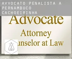 Avvocato penalista a  Cachoeirinha (Pernambuco)