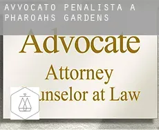 Avvocato penalista a  Pharoahs Gardens