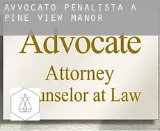 Avvocato penalista a  Pine View Manor