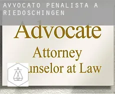 Avvocato penalista a  Riedöschingen