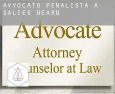 Avvocato penalista a  Salies-de-Béarn