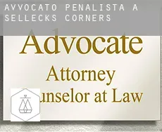 Avvocato penalista a  Sellecks Corners