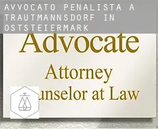 Avvocato penalista a Trautmannsdorf in Oststeiermark