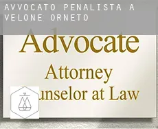 Avvocato penalista a  Velone-Orneto