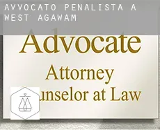 Avvocato penalista a  West Agawam