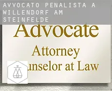 Avvocato penalista a Willendorf am Steinfelde