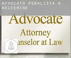 Avvocato penalista a  Wolverine