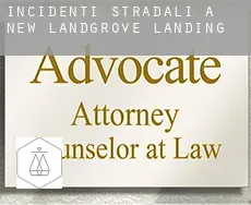 Incidenti stradali a  New Landgrove Landing