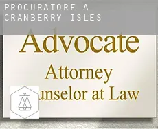 Procuratore a  Cranberry Isles