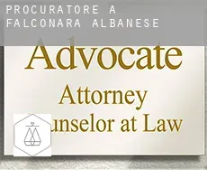 Procuratore a Falconara Albanese