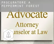 Procuratore a  Peppermint Forest