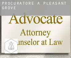 Procuratore a  Pleasant Grove