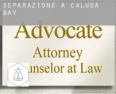 Separazione a  Calusa Bay