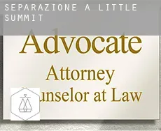 Separazione a  Little Summit