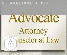Separazione a  Pin
