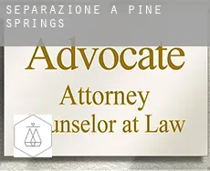 Separazione a  Pine Springs