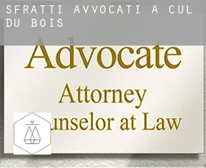 Sfratti avvocati a  Cul du Bois