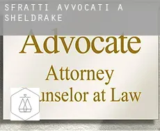 Sfratti avvocati a  Sheldrake