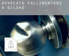 Avvocato fallimentare a  Gilead