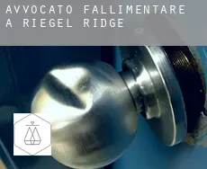 Avvocato fallimentare a  Riegel Ridge