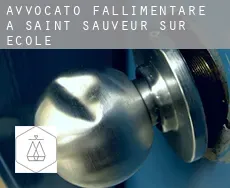 Avvocato fallimentare a  Saint-Sauveur-sur-École